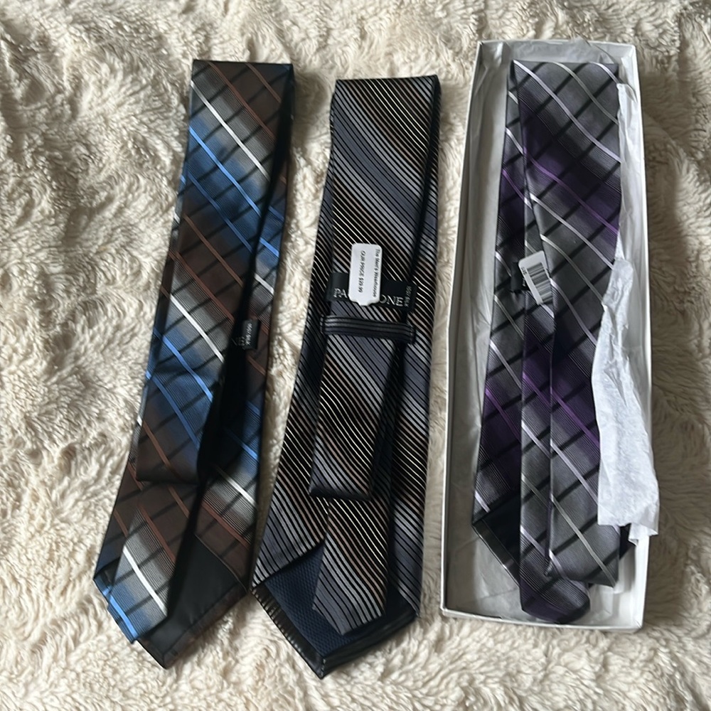 New With Tag Paul Dione 100% silk 3 Pair of  Ties
